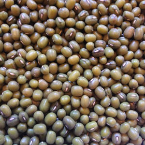 Organic Non-GMO Mung Beans