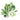 Organic Baby Brassica Greens Mix