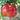 Organic Amish Pimento Sweet Pepper