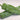 Organic Anaheim Hot Pepper