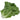Organic Paris Island Cos Lettuce