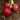 Organic Rossa di Milano Onion