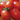Organic Amish Paste Tomato
