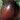 Organic Japanese Black Trifele Tomato