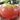 Organic Caspian Pink Tomato 1g