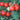 Organic Baxter's Bush Cherry Tomato