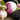 Organic Non-GMO Purple Top White Globe Turnip