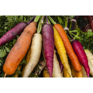 Organic Non-GMO Rainbow Mix of Carrots