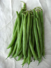 Organic Non-GMO Black Valentine Bush Beans