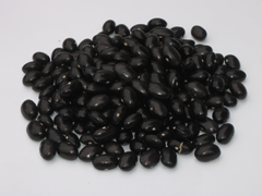 Organic Non-GMO Tolosa Black Pole Beans