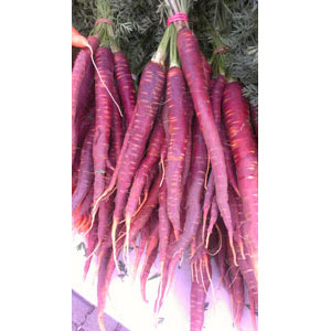 Organic Non-GMO Cosmic Purple Carrot