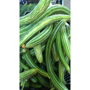 Organic Non-GMO Armenian Cucumber