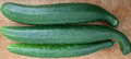 Organic Non-GMO Suyo Long Cucumber