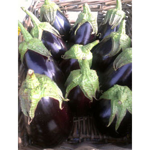 Organic Non-GMO Black Beauty Eggplant