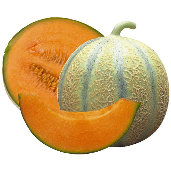 Organic Non-GMO Charantais Melons