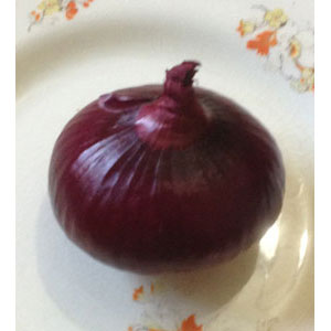 Organic Non-GMO Cipollini Red Geneva Onion