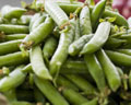 Organic Non-GMO Green Arrow Shelling Pea