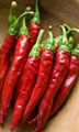 Organic Non-GMO Red Rocket Hot Pepper