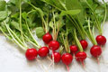 Organic Non-GMO Cherrybelle Radish