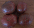 Organic Non-GMO Black Seaman Tomato