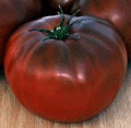 Organic Non-Gmo Brandywine Black Tomato