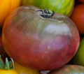 Organic Non-GMO Cherokee Purple Tomato