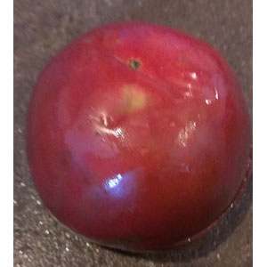 Organic Non-GMO Eva Purple Ball Tomato