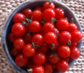Organic Non-GMO Matt's Wild Cherry Tomato