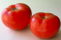 Organic Non-GMO Moneymaker Tomato