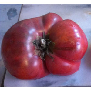 Organic Non-GMO Paul Robeson Tomato