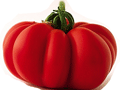 Organic non-GMO Super Marmande Tomato