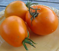 Organic non-GMO Valencia Tomato