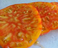 Organic Non-GMO Big Rainbow Tomato