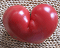 Organic Non-GMO Brandywine Pink Tomato