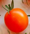 Organic non-GMO Jaune Flamme Saladette Tomato