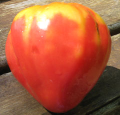 Organic non-GMO Oxheart Tomato - Click Image to Close