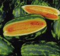 Organic Non-GMO Tendersweet Orange Watermelon